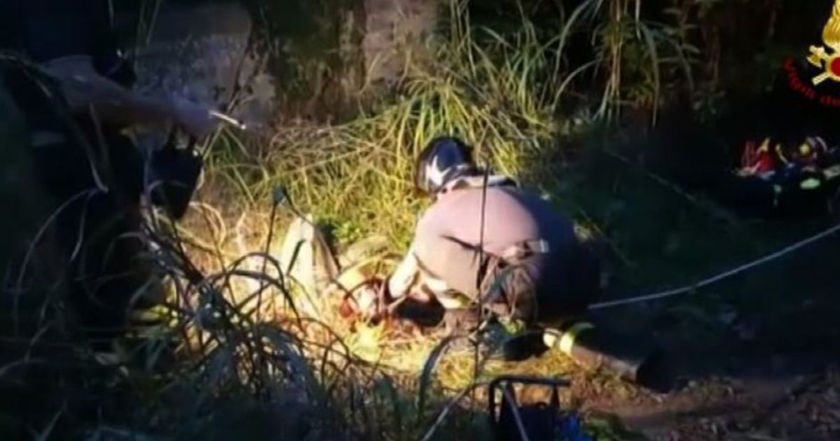 Cane rimane incastrato in cunicolo, salvato dai Vigili del Fuoco