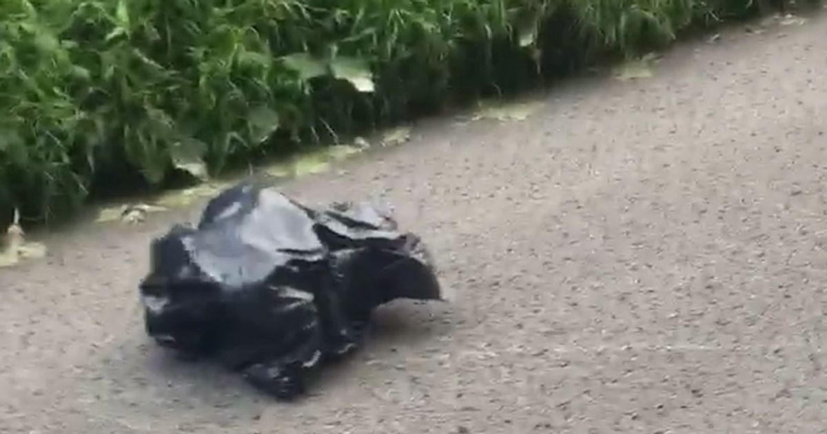 Il sacco nero si muove da solo: poi la scoperta…