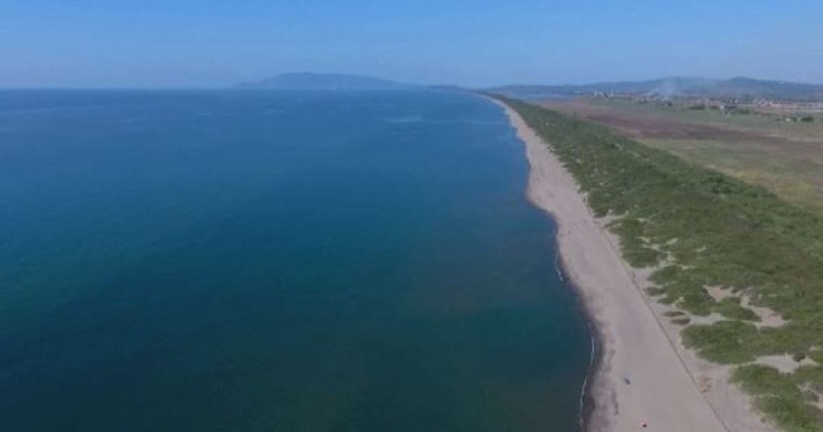 A Capalbio si attende la nascita delle tartarughe Caretta Caretta