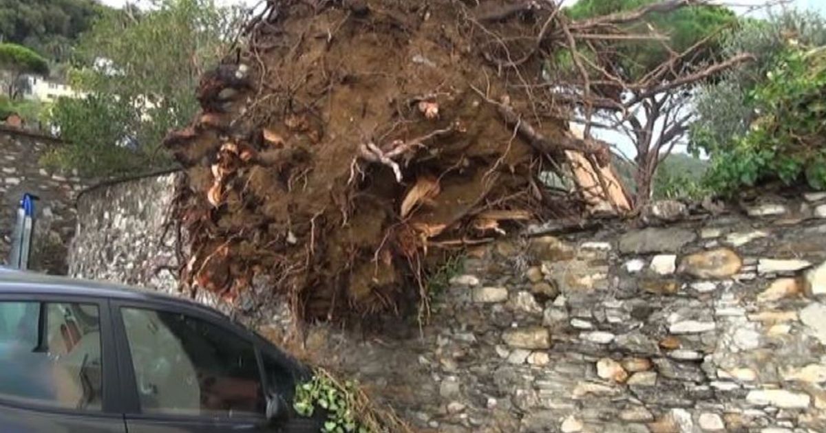 Trombe d’aria a Genova, raffiche di vento a 100 km/h e danni