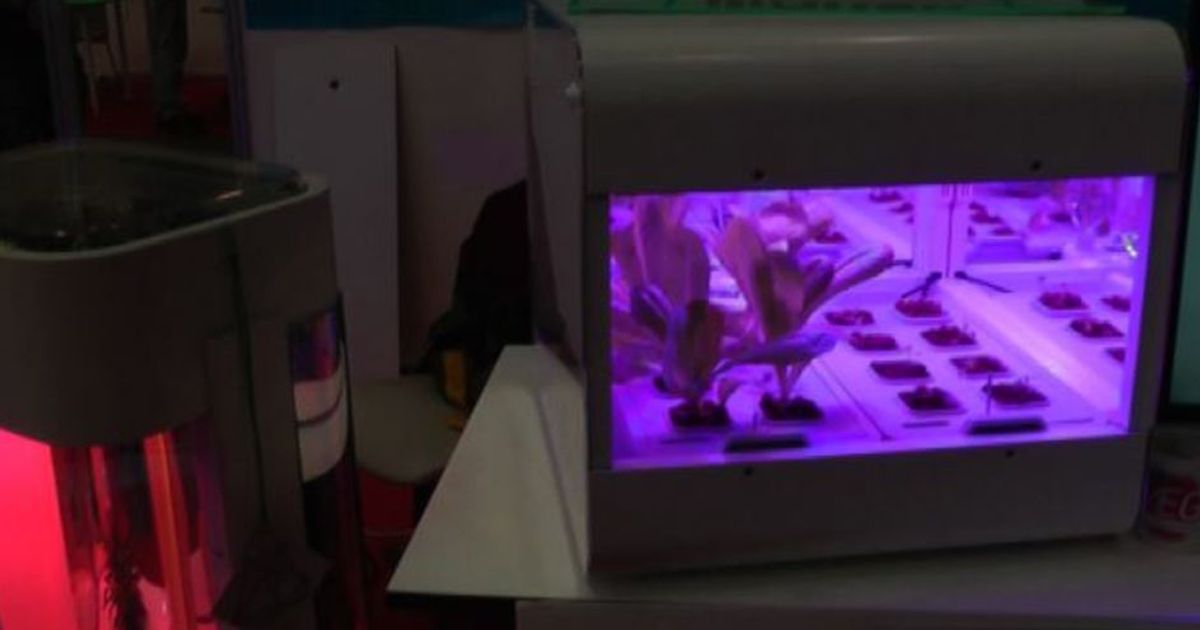 Tecnologia e tradizione si incontrano al Food Innovation Program