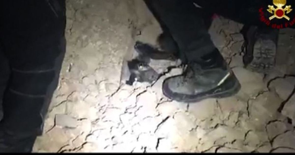 Terremoto, un cane estratto dalle macerie di Norcia