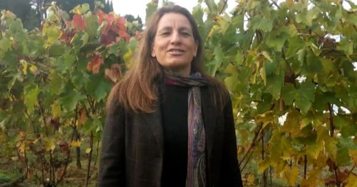 Storie Di Vino: a Cantine Dei “Tre Bicchieri” dal Gambero Rosso