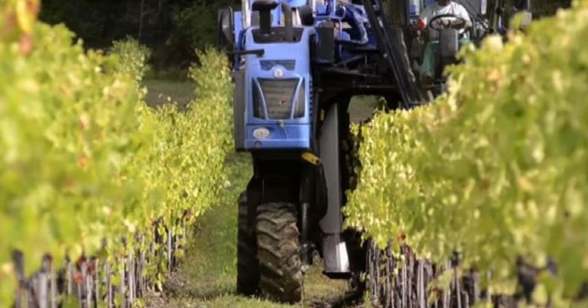 La vendemmia è hi-tech con le eccellenze del Made in Italy