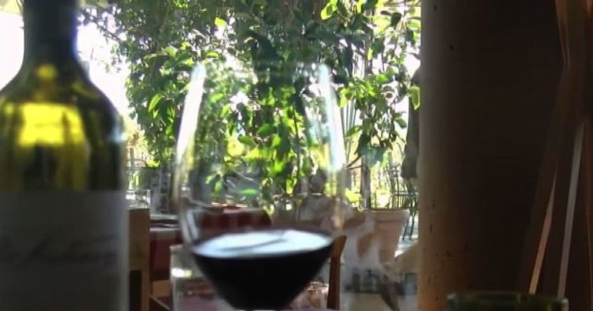 La vendemmia gentile dell’uva con le macchine New Holland