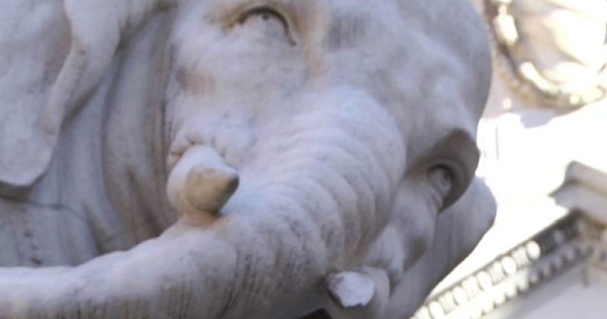 Roma, danneggiato l’Elefantino. Restauro tra 1.500 e 2.500 euro