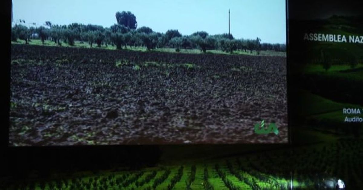 Agricoltura, Cia: asset strategico, ma la burocrazia è un mostro