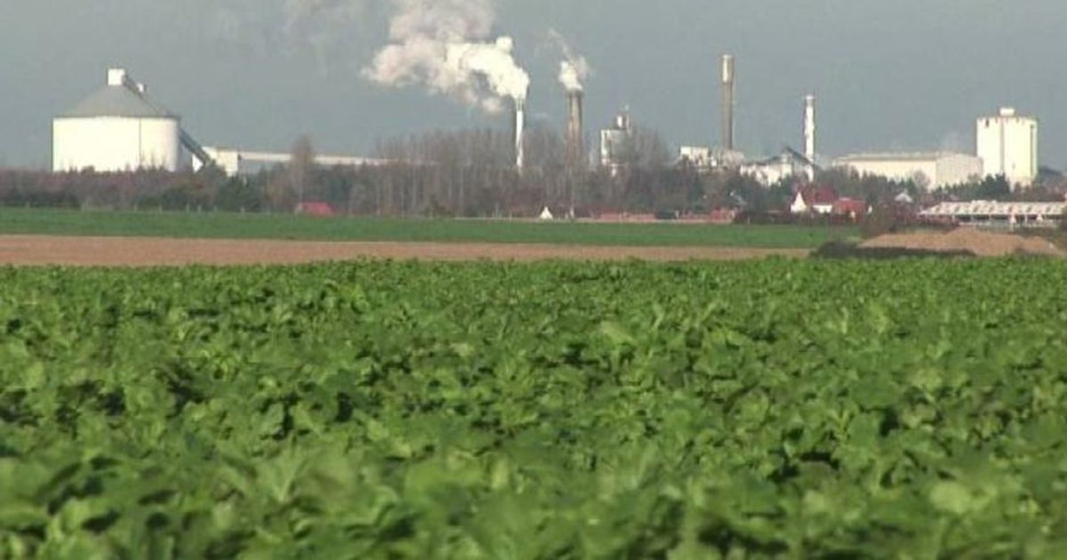 L’industria agroalimentare italiana apre i propri stabilimenti