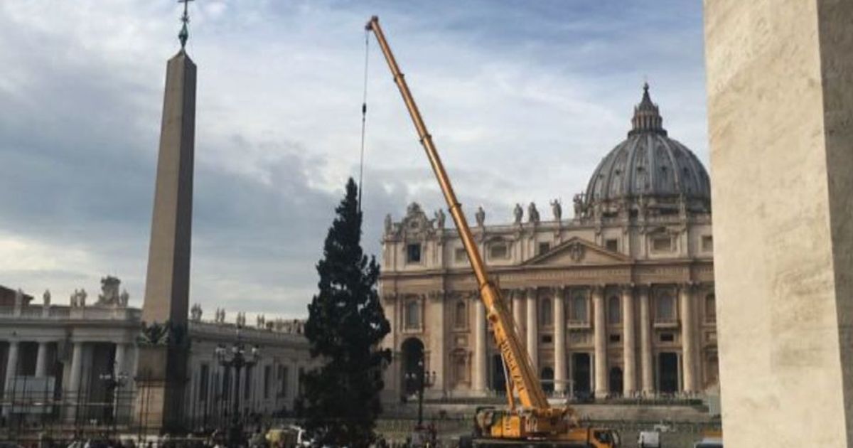 E’ arrivato l’albero di Natale a piazza San Pietro