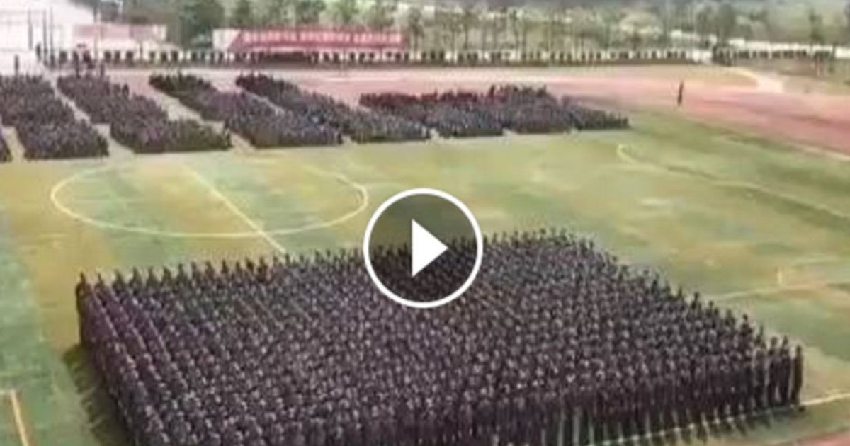 Pin Art umana: questi ragazzi si sincronizzano e cambiano forma
