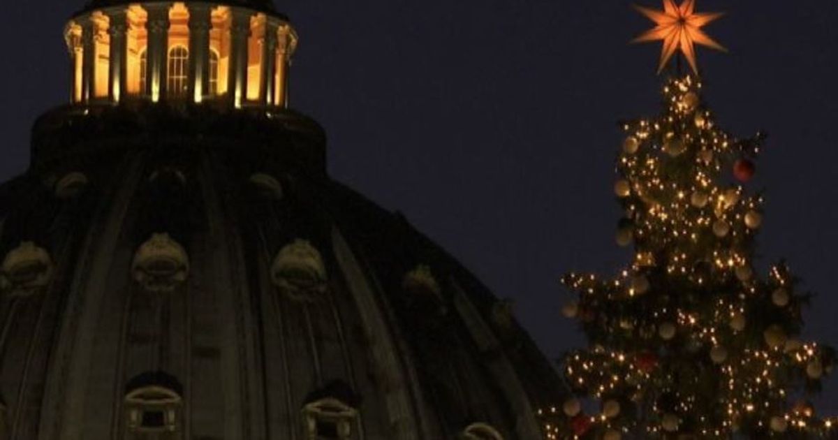 Brilla lo spettacolare albero di Natale in piazza San Pietro