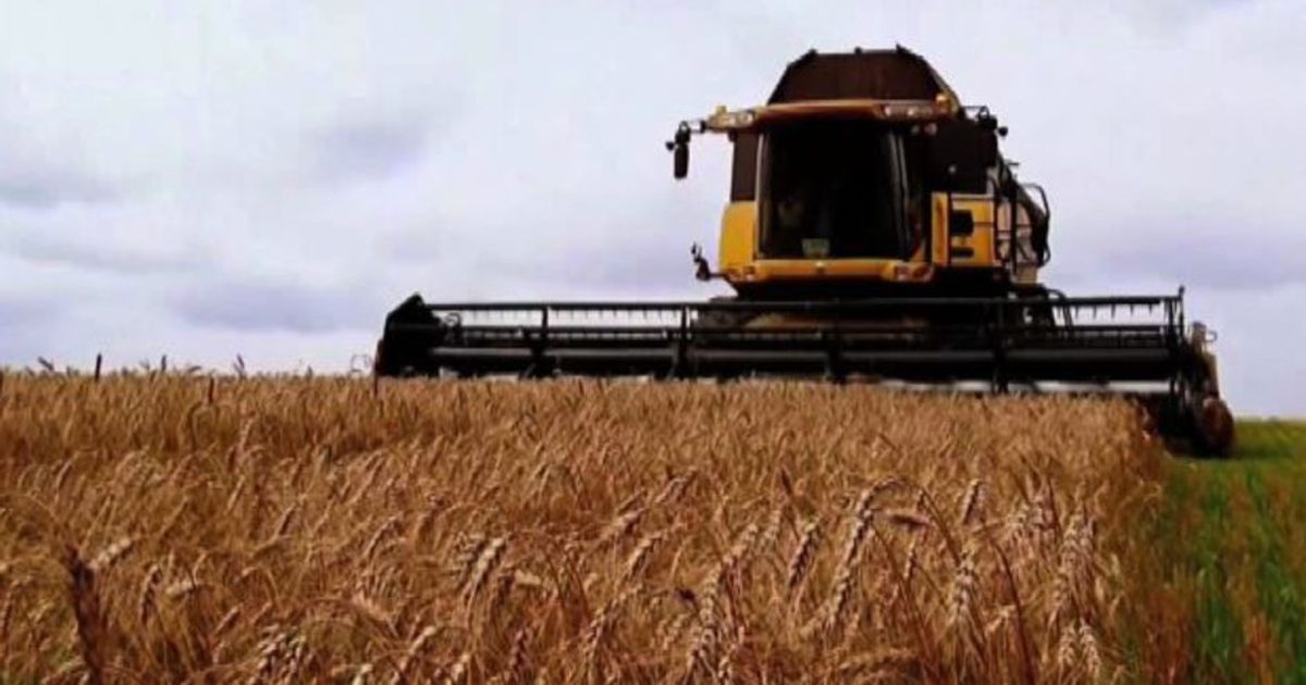 Sostenibilità, dall’agricoltura la chiave di volta per il clima