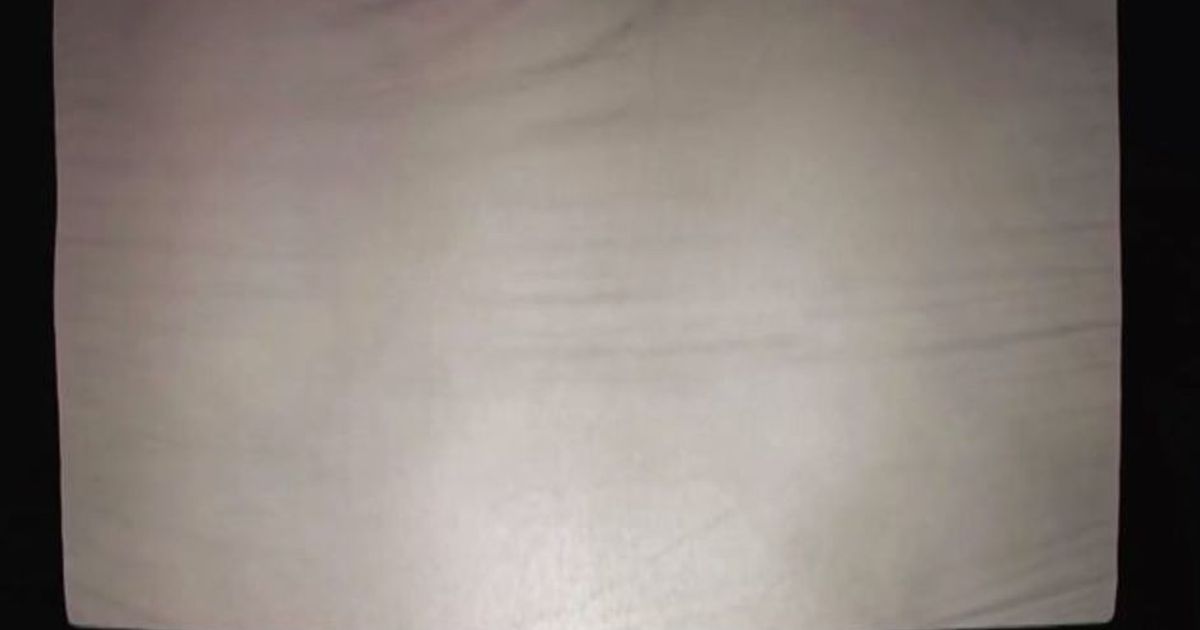 Musica, Lastanzadigreta e le sue “Creature selvagge”