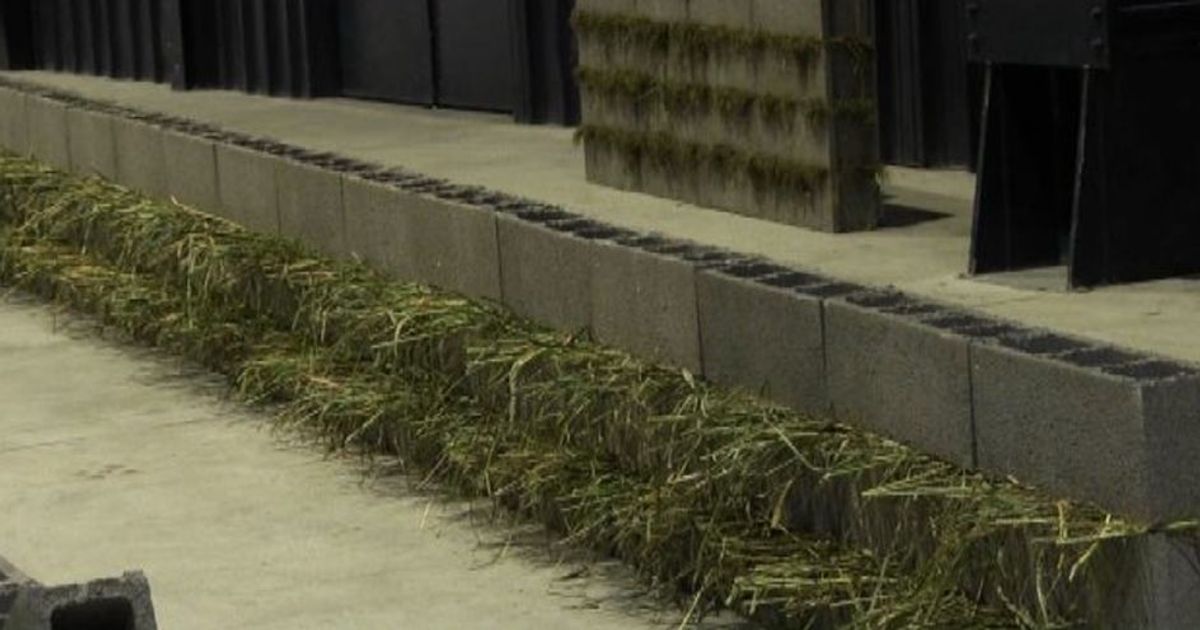 Kishio Suga in Pirelli HangarBicocca: la mostra fino a 29 gennaio