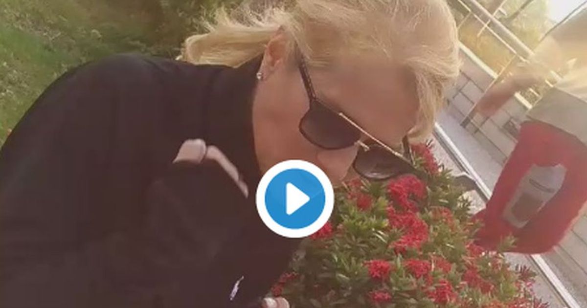 Heather Parisi vs Lorella Cuccarini: spunta un dito medio su Twitter