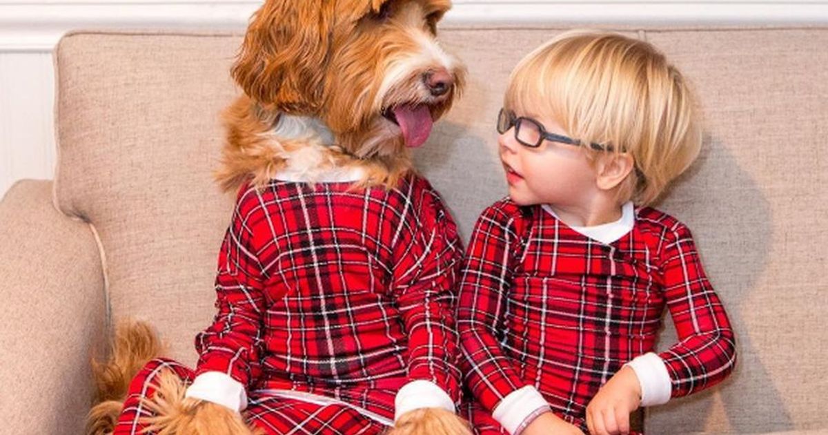 Little Buddy e Regan: inseparabili da quando entrambi avevano 11 mesi