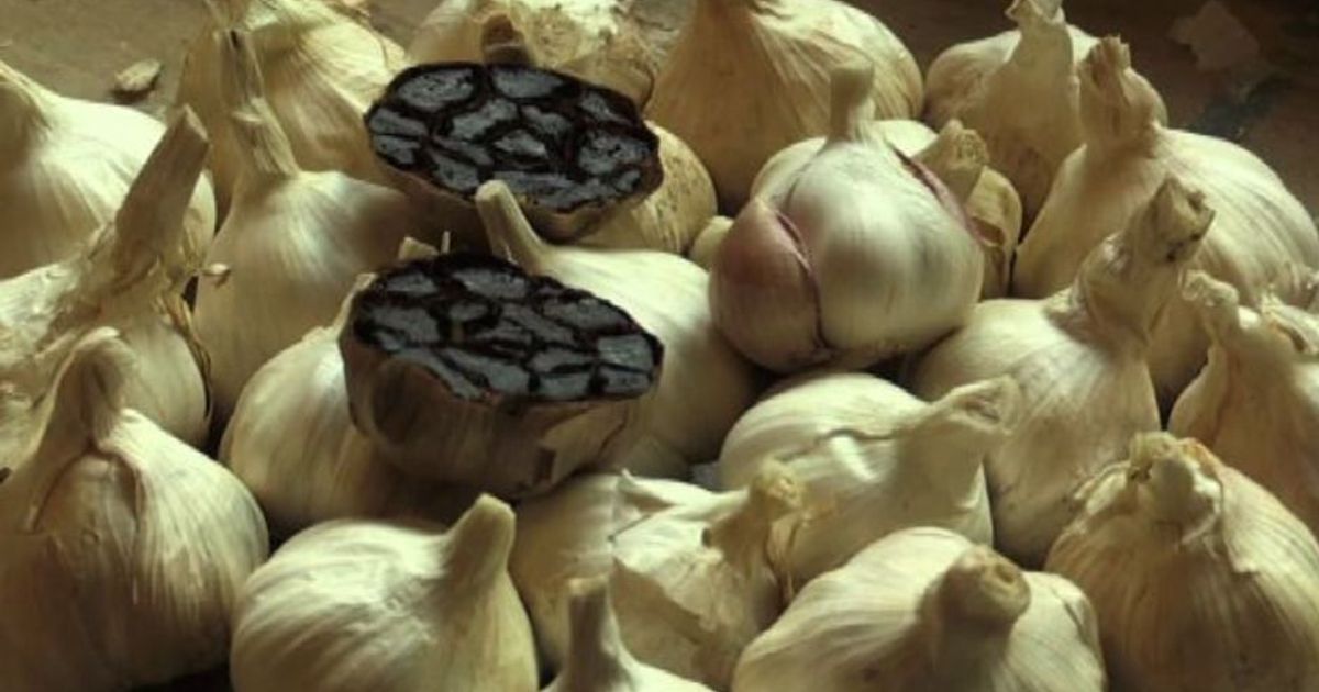 L’aglio nero una rarità per chef e buongustai