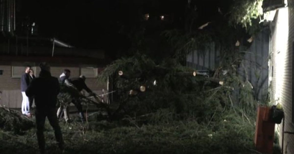 Maltempo, violento temporale a Roma: tegole divelte e rami caduti