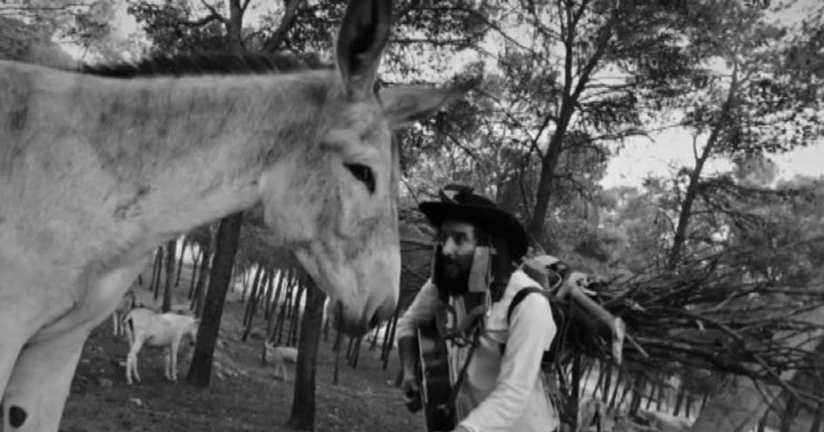 E8217 online il nuovo video di Vinicio Capossela 8220Scorza di Mulo8221