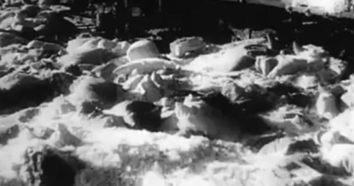 8220Cinema Verit8221 i racconti della realt scelti da Calopresti