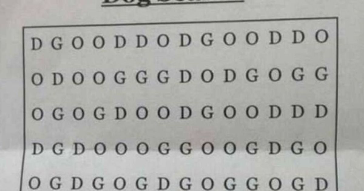 Cercasi “Dog”: c’è un nuovo rompicapo che spopola nel web