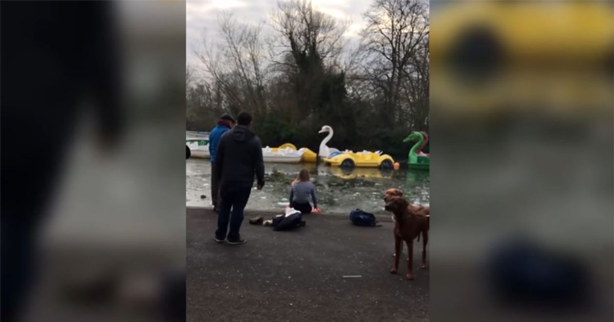 Si getta nel lago ghiacciato per salvare il proprio cagnolino