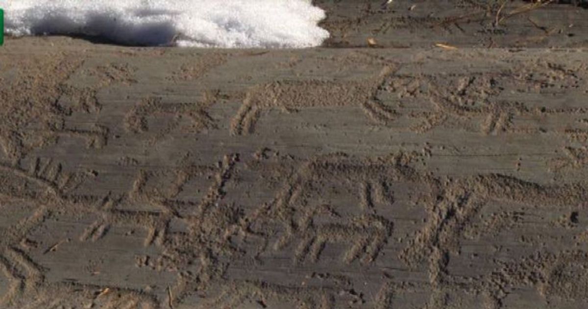 Incisioni rupestri, un diamante nel tesoro della Valle Camonica