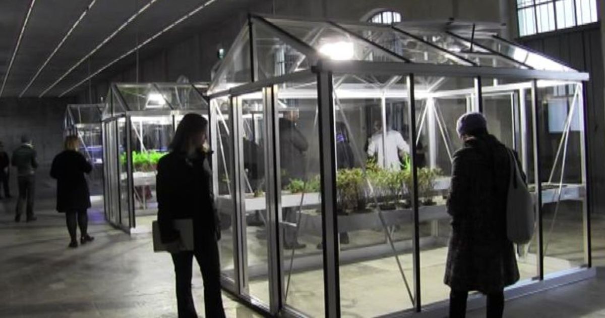 Dalla natura, all’uomo, all’arte: una mostra sul prendersi cura