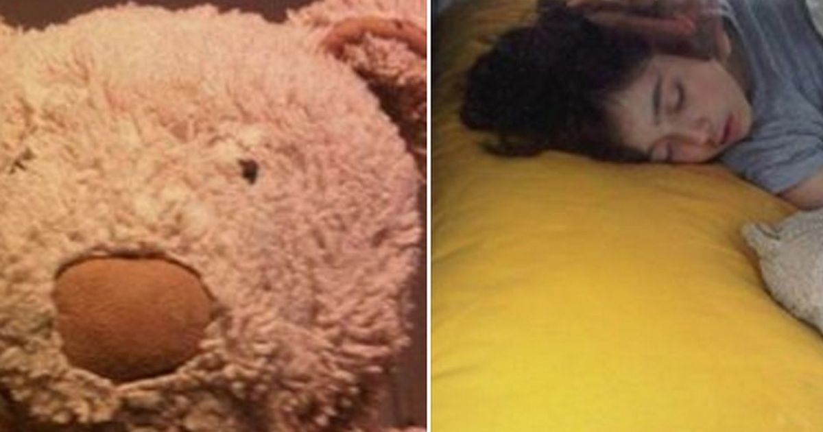 Cerchiamo Simone: il disperato appello per ritrovare l’orsacchiotto del figlio