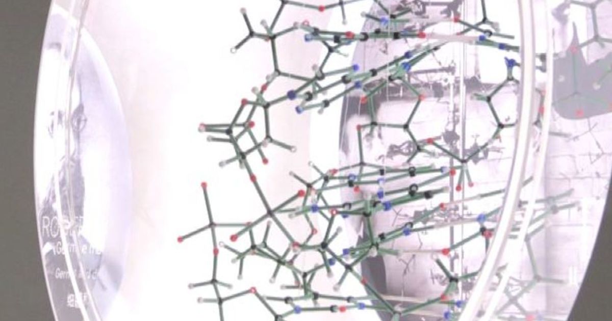 La Città della Scienza di Napoli svela i segreti del corpo umano