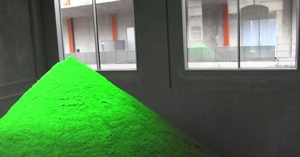 Parassiti, sabbia e infezioni: il talento di Pamela Rosenkranz