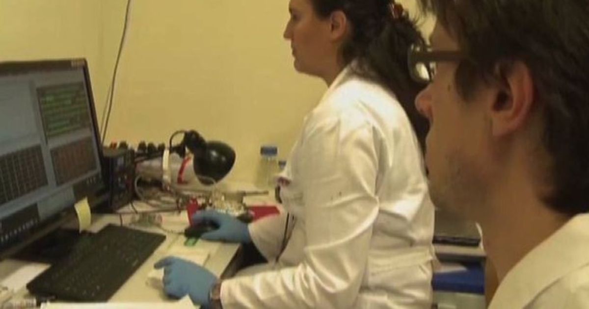 Donne e tecnologia, meno del 20% ricopre ruoli apicali dell’Ict