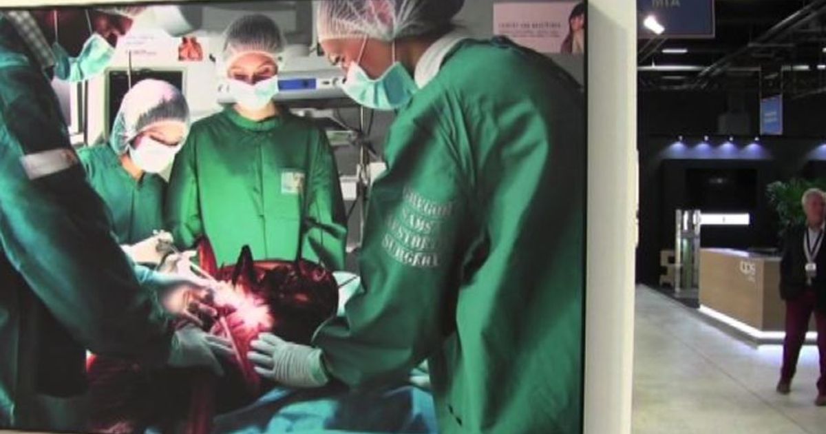 MIA Photo Fair, la consapevolezza della fotografia come arte