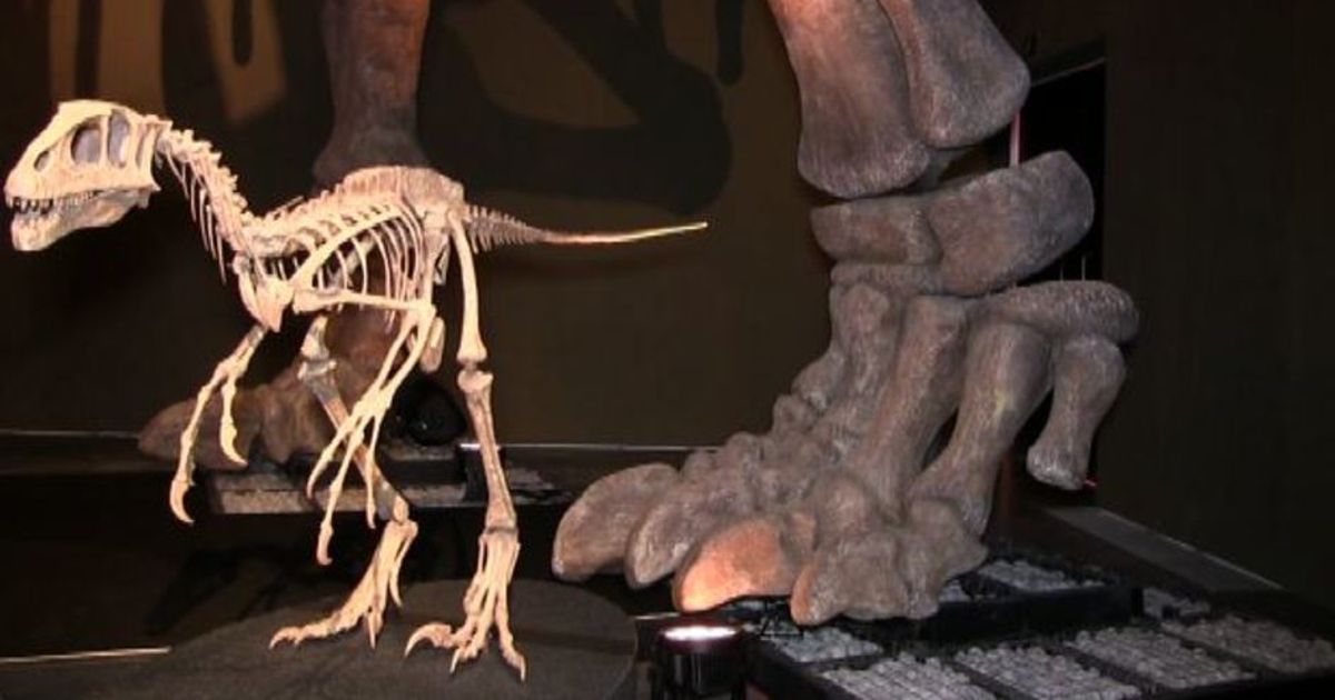 MUDEC, i dinosauri giganti e l’immaginario collettivo sui sauri