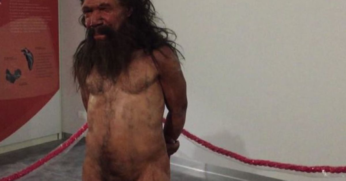 In Puglia nasce la rete museale nel segno dell’uomo di Altamura