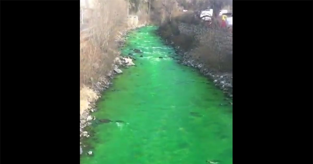 Spagna: allarme per il fiume verde fluorescente