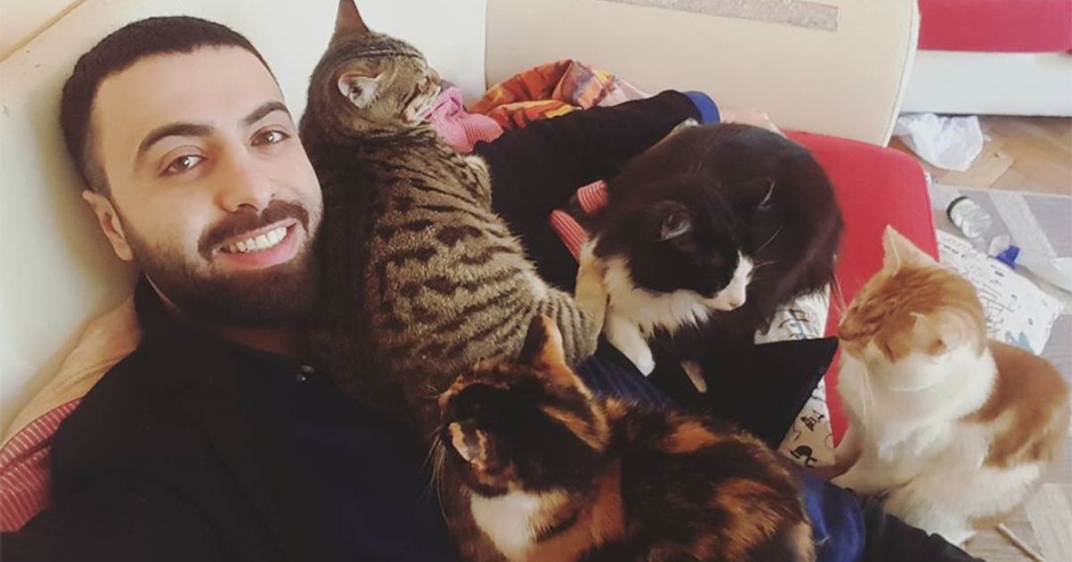 Musicista suona un brano al suo gatto che apprezza e ringrazia
