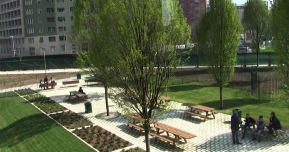 Petra Blaisse racconta la sua Biblioteca degli Alberi a Milano