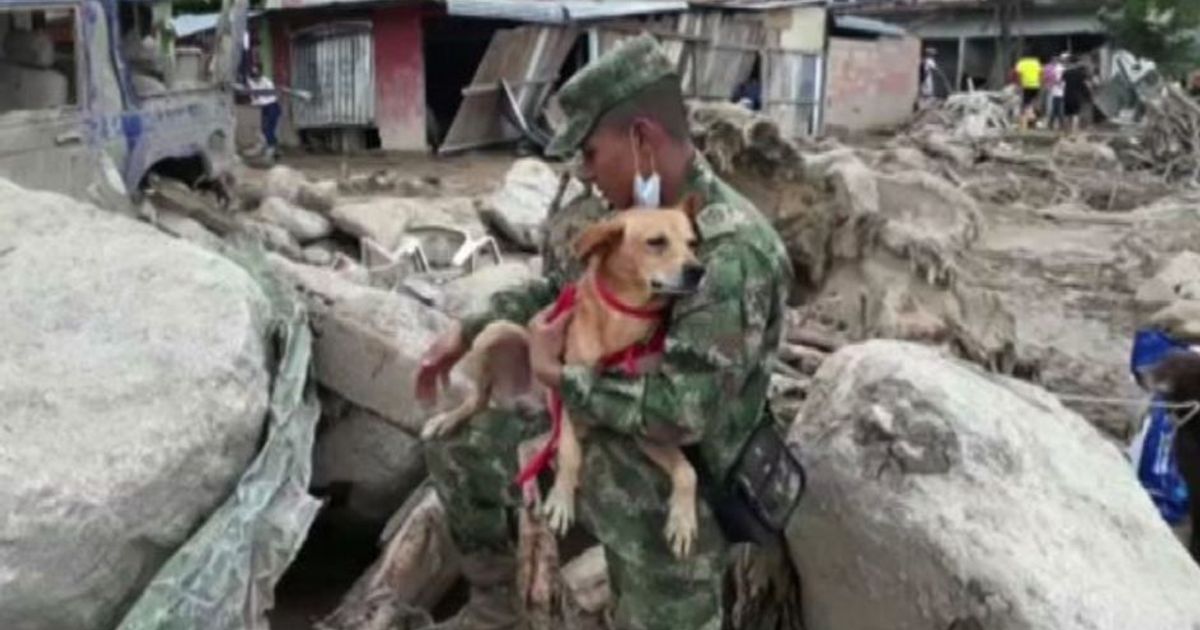 L’esercito colombiano porta in salvo animali abbandonati a Mocoa