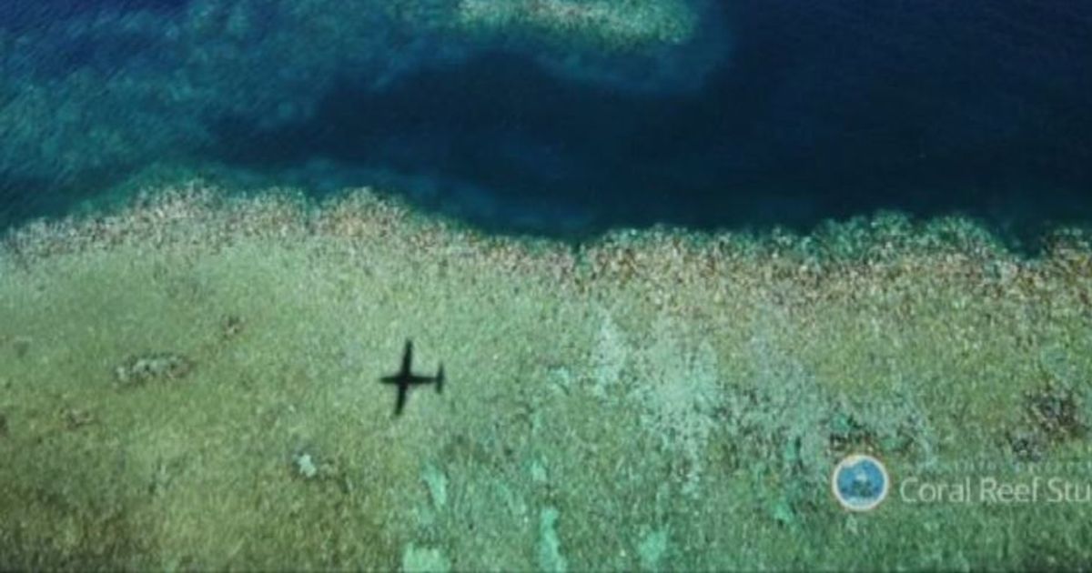 Grande barriera corallina: un disastro senza precedenti