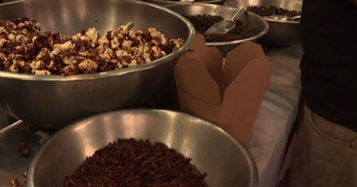 Vermi, grilli e formiche: il nuovo trend del food in Australia