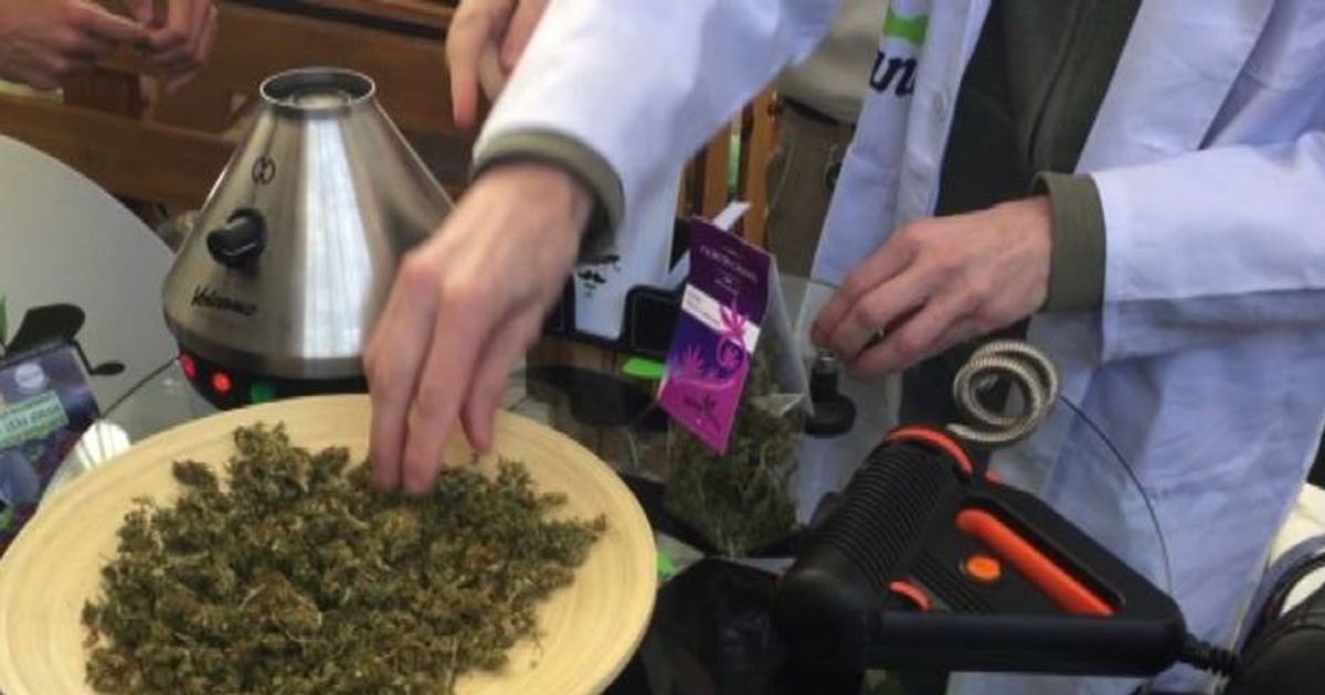 A Milano torna Hempfest per la giornata mondiale della canapa