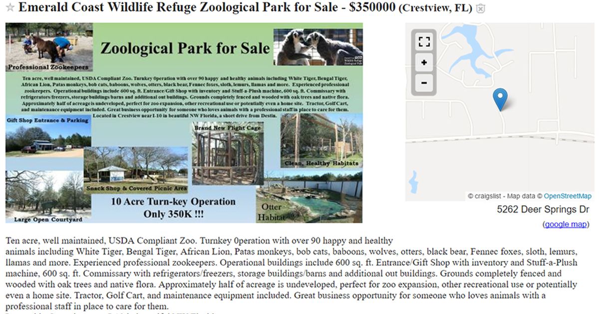 Vendesi Zoo online: solo per amanti degli animali!
