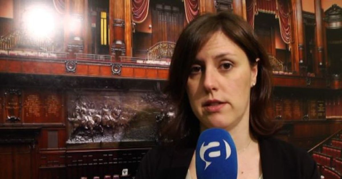 Eolico, Braga (PD): necessarie regole chiare e tempi certi