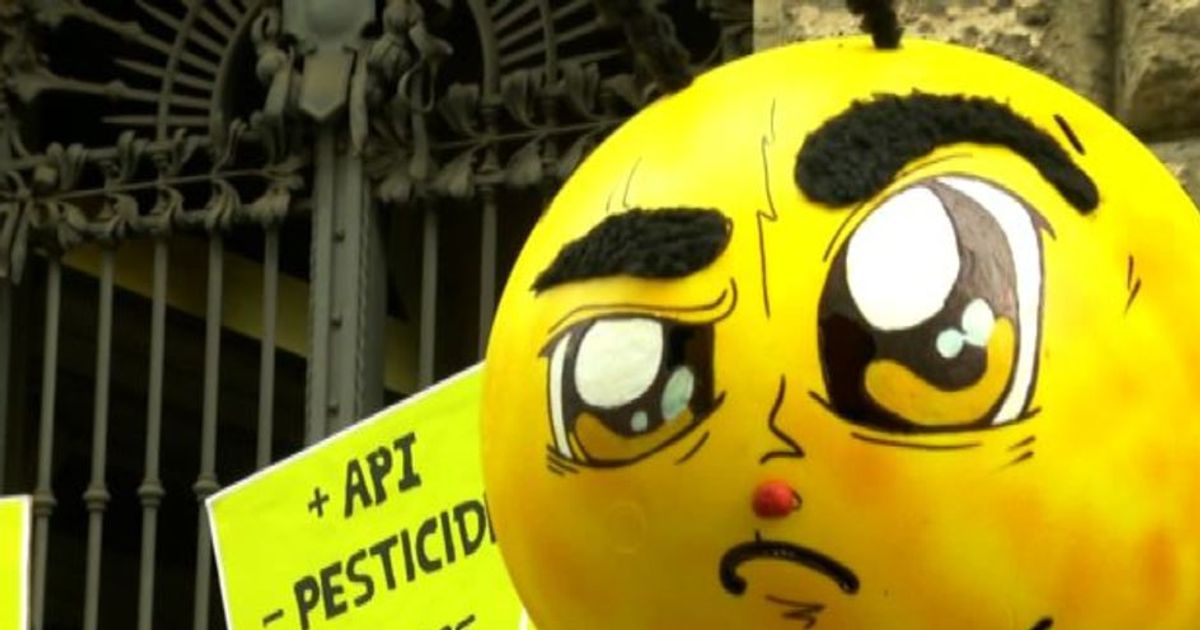 Ambiente, blitz di Greenpeace a Roma contro i pesticidi