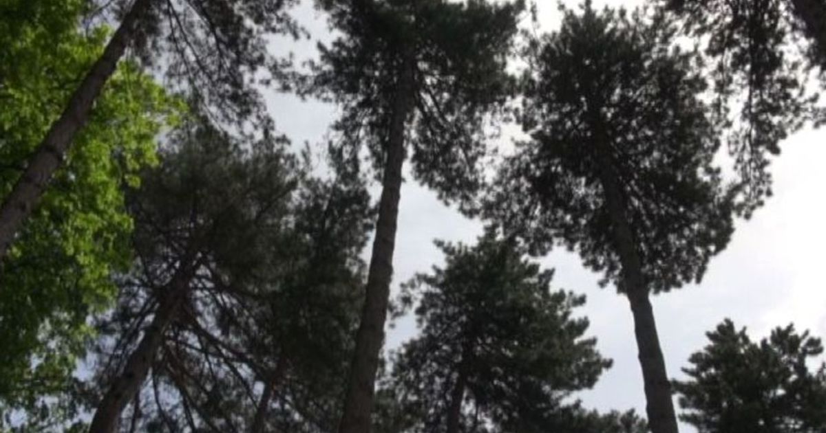 Con Jaguar Land Rover Amatrice ha di nuovo la sua Piazza