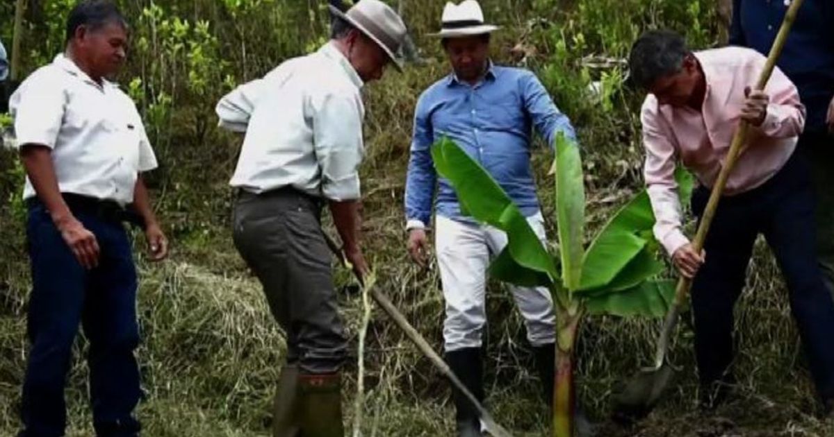 Colombia, piantagioni di frutta al posto della coca