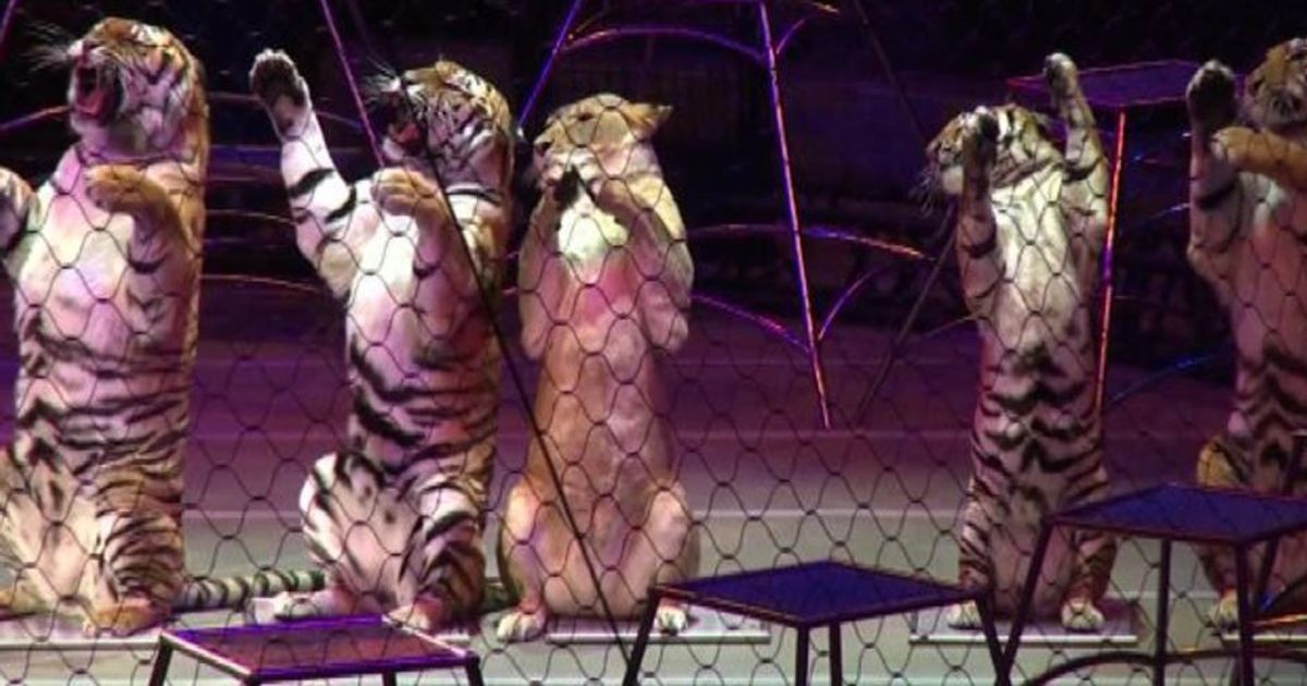 Chiude il circo Barnum, l’ultimo show dopo 146 anni di spettacoli