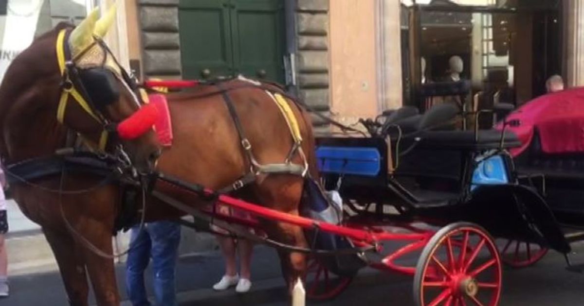Via le botticelle da Roma? I vetturini: uccidono lavoro storico