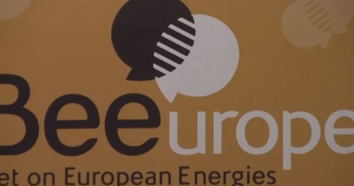 Fondazione Triulza: Beeurope, il Terzo Settore verso l’Europa